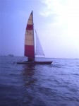 Ace Cup